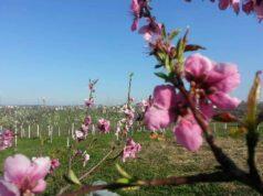 Vremenska prognoza (15. – 21. maj)